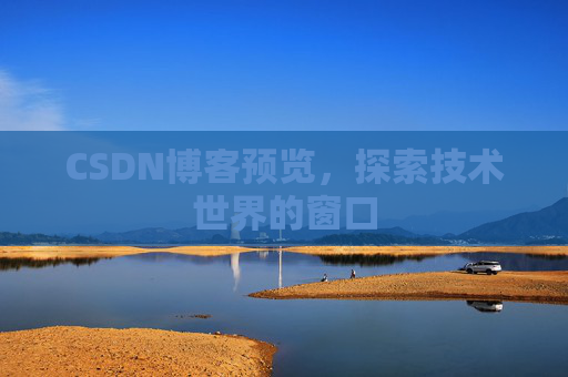 CSDN博客预览，探索技术世界的窗口